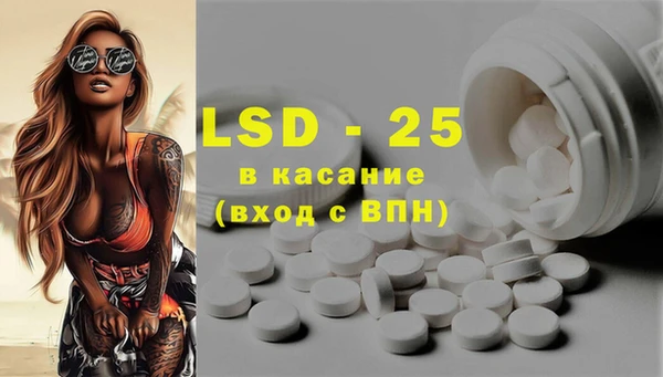 PSILOCYBIN Кодинск