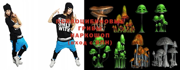 круглые Коряжма