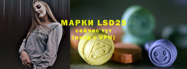 PSILOCYBIN Кодинск