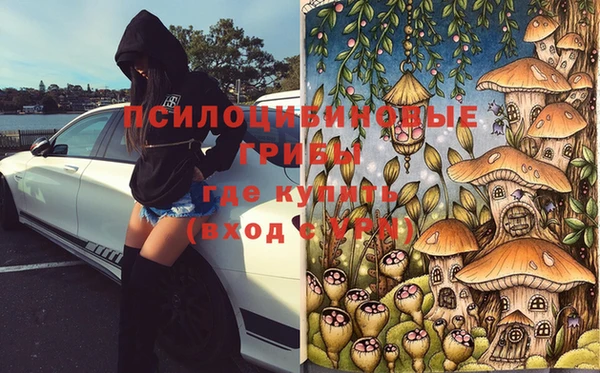синтетический гашиш Костерёво