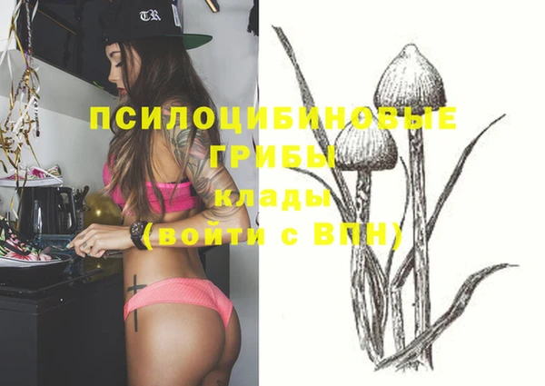 PSILOCYBIN Кодинск