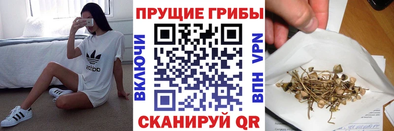 Псилоцибиновые грибы GOLDEN TEACHER Чкаловск