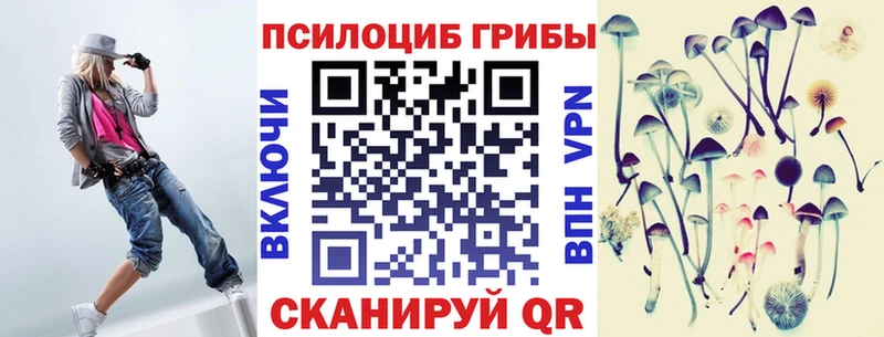 Купить где  Чкаловск  Псилоцибиновые грибы мухоморы 